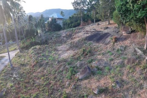 Terreno en Surat Thani, Tailandia № 116757 - foto 4