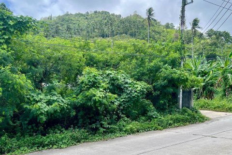 Land in Ko Samui, Thailand 448 sq.m. № 172417 - photo 2