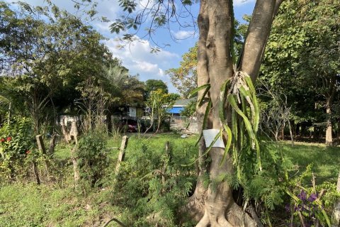 Grundstück in San Kamphaeng, Thailand № 55365 - Foto 5