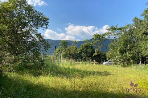 Terreno en Mae On, Tailandia № 55366 - foto 8