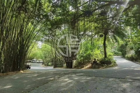 Chalet de 3 dormitorios en Phuket, Tailandia № 190724 - foto 24