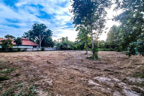 Land in Chiang Mai, Thailand № 121732