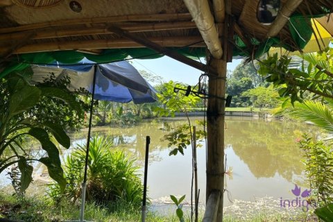 Terreno en Chiang Mai, Tailandia № 200399 - foto 12