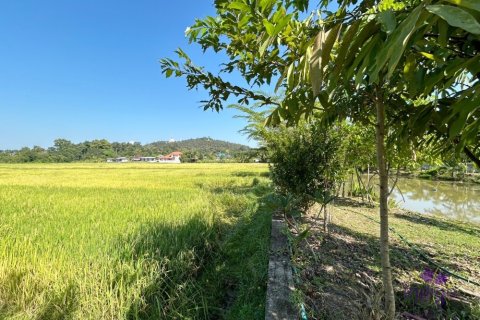 Terreno en Chiang Mai, Tailandia № 200399 - foto 7