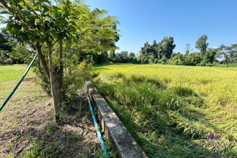Terreno en Chiang Mai, Tailandia № 200399 - foto 8