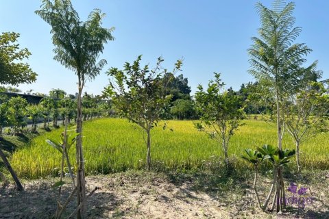 Terreno en Chiang Mai, Tailandia № 200399 - foto 13