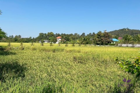 Terreno en Chiang Mai, Tailandia № 200399 - foto 17
