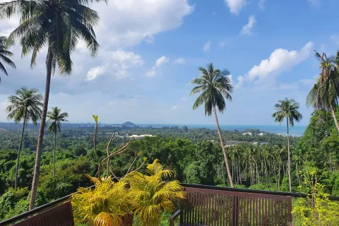 Villa in Ko Samui, Thailand 9 Schlafzimmer № 140253 - Foto 24