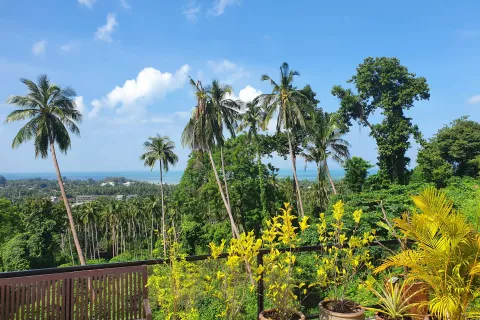 Villa in Ko Samui, Thailand 9 Schlafzimmer № 140253 - Foto 22