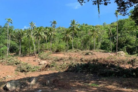Terreno en Surat Thani, Tailandia № 116874