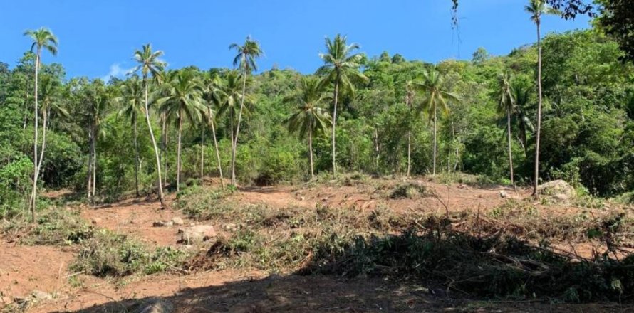 Terreno en Surat Thani, Tailandia № 116874