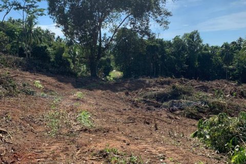 Terreno en Surat Thani, Tailandia № 116874 - foto 5