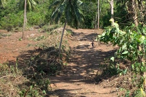 Terreno en Surat Thani, Tailandia № 116874 - foto 4