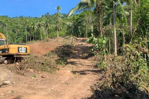 Terreno en Surat Thani, Tailandia № 116874 - foto 2