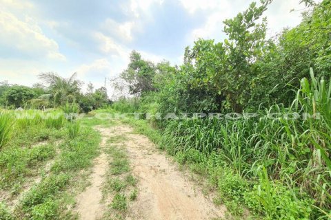 Terreno 3200 m2 en Pattaya, Tailandia № 169548 - foto 5