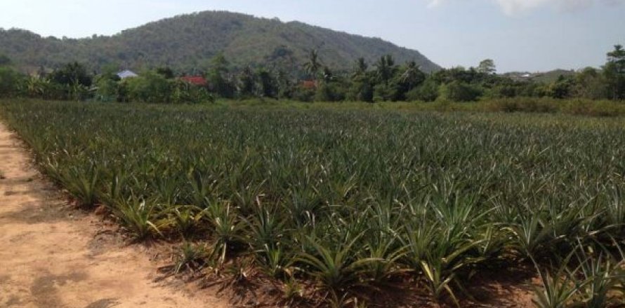 Terreno en Hua Hin, Tailandia № 168520