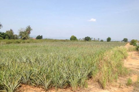 Terreno en Hua Hin, Tailandia № 168520 - foto 8