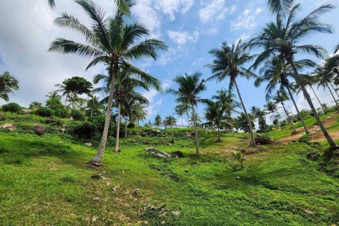 Land in Ko Samui, Thailand 4000 sq.m. № 160227 - photo 13