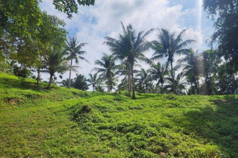 Land in Ko Samui, Thailand 4000 sq.m. № 160227 - photo 12