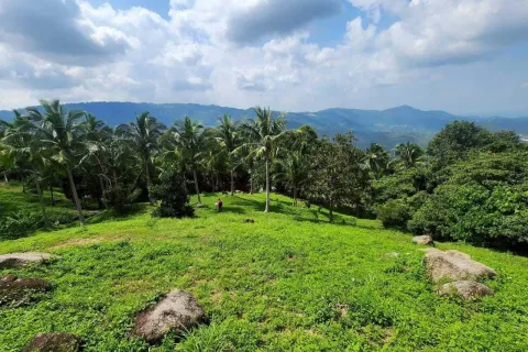 Land in Ko Samui, Thailand 4000 sq.m. № 160227 - photo 8