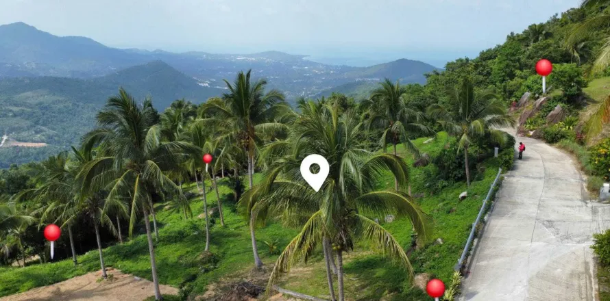 Land in Ko Samui, Thailand 4000 sq.m. № 160227