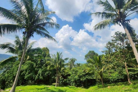Land in Ko Samui, Thailand 4000 sq.m. № 160227 - photo 10