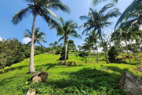 Land in Ko Samui, Thailand 4000 sq.m. № 160227 - photo 11