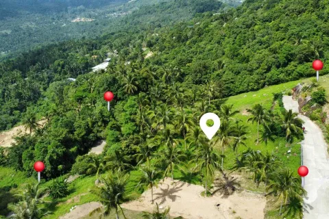 Land in Ko Samui, Thailand 4000 sq.m. № 160227 - photo 4