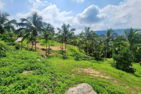 Land in Ko Samui, Thailand 4000 sq.m. № 160227 - photo 9