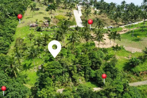 Land in Ko Samui, Thailand 4000 sq.m. № 160227 - photo 3