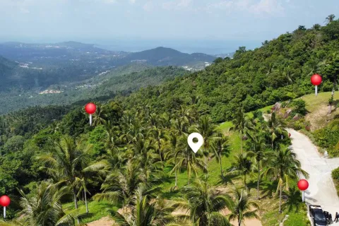 Land in Ko Samui, Thailand 4000 sq.m. № 160227 - photo 2