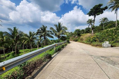 Land in Ko Samui, Thailand 4000 sq.m. № 160227 - photo 14