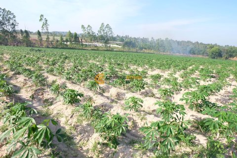 Terreno en Pattaya, Tailandia № 26604 - foto 4