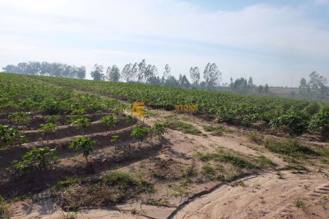 Terreno en Pattaya, Tailandia № 26604 - foto 5