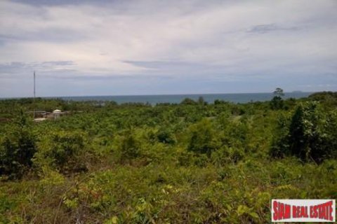 Terreno 8000 m2 en Ko Lanta Yai, Tailandia № 202476