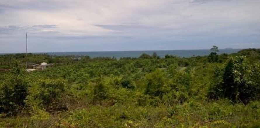 Terreno 8000 m2 en Ko Lanta Yai, Tailandia № 202476