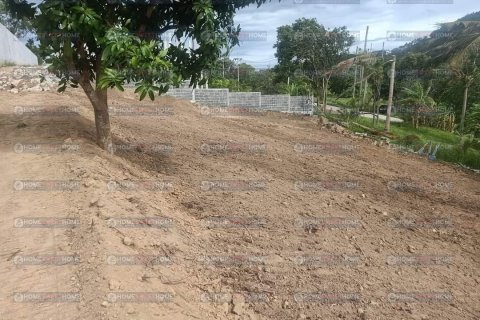 ที่ดินในเกาะสมุย, ประเทศไทย 400 ตร.ม. № 203702