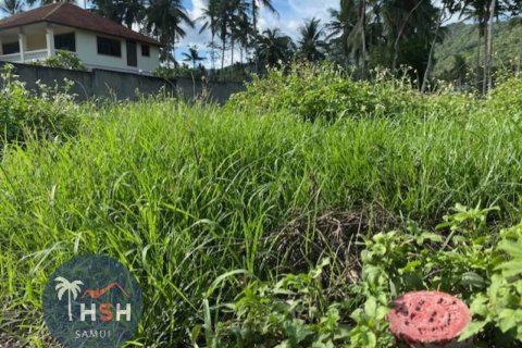 Terreno en Ko Samui, Tailandia № 203698 - foto 4
