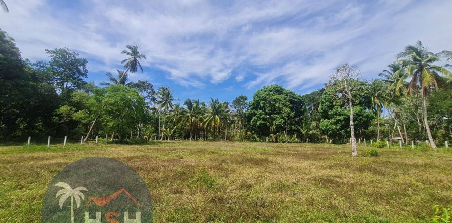 Grundstück in Ko Samui, Thailand 200 m2 № 203704