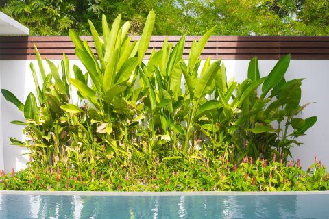 Chalet de 3 dormitorios en Ko Samui, Tailandia № 158420 - foto 19