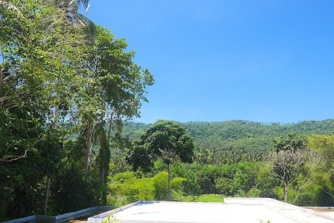 Casa de 4 dormitorios en Ko Samui, Tailandia № 117157 - foto 24
