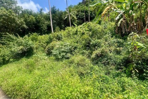 Grundstück in Ko Samui, Thailand 1557 m2 № 172416 - Foto 3