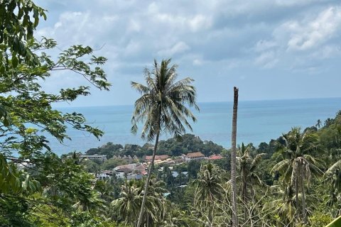 Grundstück in Ko Samui, Thailand 1557 m2 № 172416