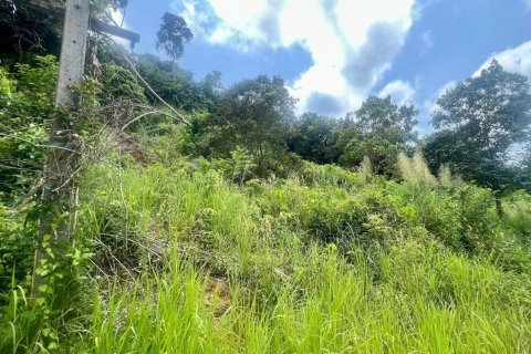 Grundstück in Ko Samui, Thailand 1557 m2 № 172416 - Foto 4