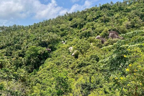 Grundstück in Ko Samui, Thailand 1557 m2 № 172416 - Foto 5