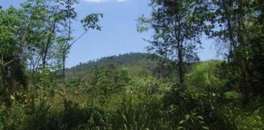 Terreno 4800 m2 en Ao Nang, Tailandia № 202527