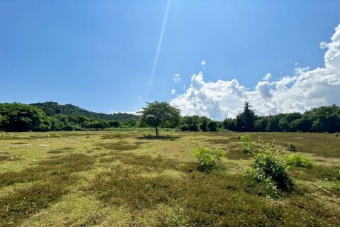 Terreno en Pran Buri, Tailandia № 116418 - foto 4