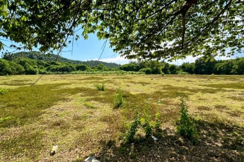 Terreno en Pran Buri, Tailandia № 116418 - foto 8