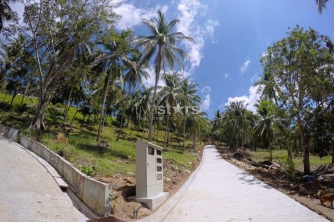 Grundstück in Ko Samui, Thailand № 67072 - Foto 3