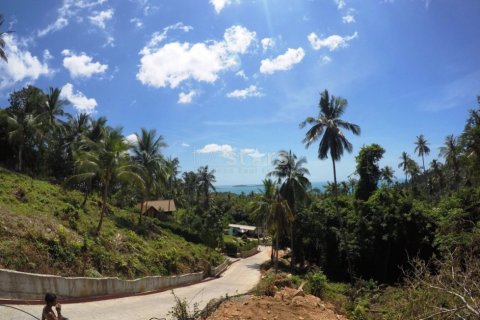 Terrain à Ko Samui, Thaïlande № 67072